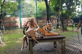 VIER PFOTEN - Stiftung für Tierschutz: Tiger King : la déclaration de QUATRE PATTES sur le bien-être animal des grands félins en captivité
