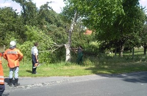 Polizeiinspektion Hildesheim: POL-HI: Elze - Wittenburg: Baum droht auf Fahrbahn zu stürzen