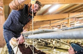 Gesellschaft Schweizer Tierärztinnen und Tierärzte (GST): Medienmitteilung: Versorgungsengpässe bei Tierarzneimitteln: Bundesrat lässt Tierärzteschaft allein