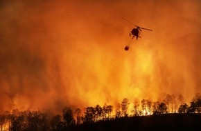 Deutsche Bundesstiftung Umwelt (DBU): DBU: Waldbrandgefahr: Mit weniger Wasser effektiver löschen