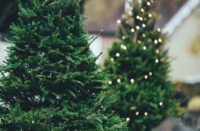 Kaufland: Von Online-Weihnachtsbaumverkauf bis Fair Trees: Mehr Service rund um Weihnachten