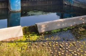 Verband kommunaler Unternehmen e.V. (VKU): Bundesratsstellungnahme zur Blueprint-Strategie / VKU: Qualitätsziele sind wichtiger als Wassersparen (BILD)