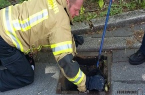 Feuerwehr Iserlohn: FW-MK: Rettung einer Enten- Großfamilie