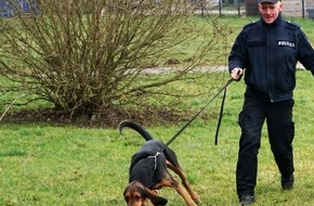 Polizeiinspektion Rostock: POL-HRO: Polizeihund Helge findet vermisstes Mädchen in Rostock