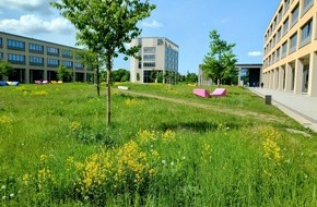 Leibniz Universit&auml;t Hannover: Pressemitteilung Nr. 012/2026 der Leibniz Universit&auml;t Hannover   Leibniz bl&uuml;ht auf