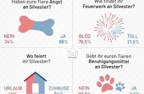 Urlaubsguru GmbH: Silvester: Der blanke Horror für Haustiere?
