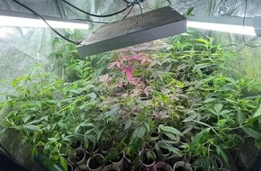Polizei Aachen: POL-AC: Cannabisplantage gefunden