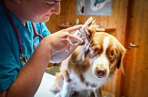 HUK-COBURG: HUK-COBURG startet mit der Tierkrankenversicherung f&uuml;r Hunde und Katzen