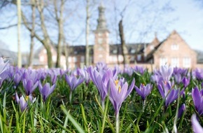 Tourismus und Stadtmarketing Husum GmbH: Husum / Nordsee: Frühling lässt sein lila Band….