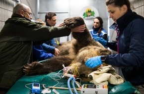 VIER PFOTEN - Stiftung f&uuml;r Tierschutz: Meimo und Jamila erfolgreich veterin&auml;rmedizinisch untersucht