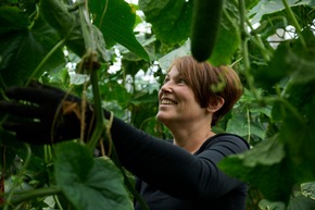 Presse-Feature: Unsere Reichenau