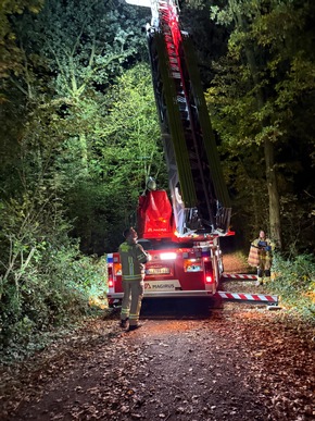 FW-KLE: Roter Panda auf Abwegen