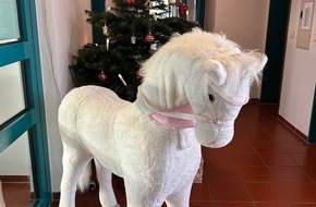 Polizeidirektion Landau: POL-PDLD: Pony gefunden