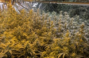 Kreispolizeibeh&ouml;rde Siegen-Wittgenstein: POL-SI: Polizei hebt Cannabisplantage aus- #polsiwi