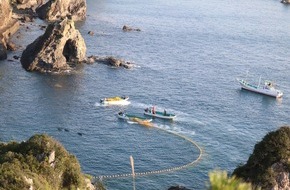Whale & Dolphin Conservation gGmbH: Japan Dolphins Day: Appell an Reiseanbieter, die Delfinjagd in Taiji zu stoppen
