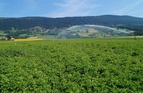 Berner Fachhochschule (BFH): Communiqué de presse: Des données standardisées pour une meilleure irrigation