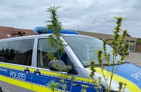 Polizeiinspektion Rotenburg: POL-ROW: ++ Einbruch in Bungalow ++ Cannabispflanzen am Waldesrand ++ Junger Biker unter Alkohol- und Drogenverdacht ++ Junger Autofahrer unter dem Einfluss von Methamphetaminen ++