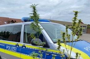 Polizeiinspektion Rotenburg: POL-ROW: ++ Einbruch in Bungalow ++ Cannabispflanzen am Waldesrand ++ Junger Biker unter Alkohol- und Drogenverdacht ++ Junger Autofahrer unter dem Einfluss von Methamphetaminen ++