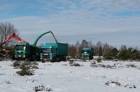 Deutsche Bundesstiftung Umwelt (DBU): DBU-Naturerbe beauftragt Landschaftspflege durch Holzeinschlag auf der DBU-Naturerbefläche Prösa