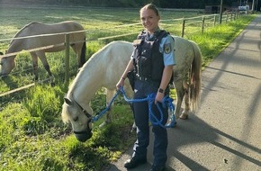 Bundespolizeidirektion Sankt Augustin: BPOL NRW: Pony steht auf Bahn&uuml;bergang - Ein nicht ganz allt&auml;glicher Einsatz f&uuml;r die Bundespolizei