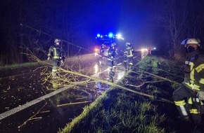 Freiwillige Feuerwehr Werne: FW-WRN: TH_1 - LZ1 - LG4 - Baum auf Strasse