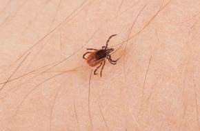 Pfizer Pharma GmbH: Gefahr durch Zecken: In Deutschland steigt das Risiko f&uuml;r Borreliose und FSME - jede:r Dritte hatte bereits einen Zeckenstich
