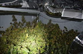 Polizei Rhein-Erft-Kreis: POL-REK: 201116-3: Fund von Cannabispflanzen - Kerpen