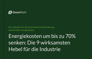 Greenflash: Energiekosten um bis zu 70 Prozent senken: Die 9 wirksamsten Hebel f&uuml;r die Industrie