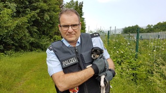 Bundespolizeidirektion Sankt Augustin: BPOL NRW: Bundespolizist rettet Hund aus dem Gleisbereich