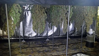 Polizeipräsidium Nordhessen - Kassel: POL-KS: Professionelle Cannabisplantagen und Waffen bei Durchsuchungen in Rauschgiftverfahren sichergestellt: 35-Jähriger nun in U-Haft