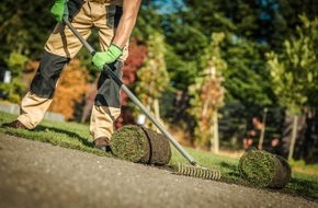 goodRanking Online Marketing Agentur: Der Traum vom Eigenheim: Flächenbegrünung bei Neubauten