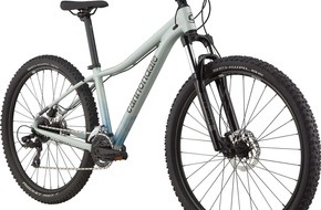 Polizeidirektion Pirmasens: POL-PDPS: Fahrrad- Diebstahl auf dem Parkplatz des Einkaufsmarktes