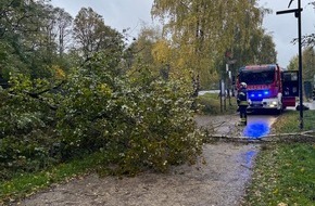 Feuerwehr Sprockhövel: FW-EN: Umgestürzte Bäume auf Radweg