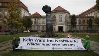 Robin Wood e.V.: Keine EU-Anreize für Holzverbrennung in Kraftwerken! Protestaktion vor Bundeswirtschaftsministerium