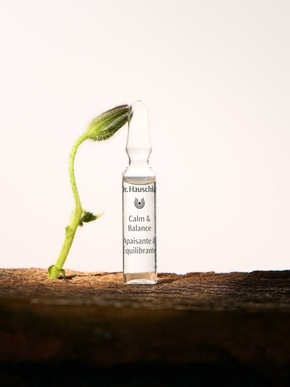 Neustart f&uuml;r die Haut: Die Dr. Hauschka Ampullenkuren unterst&uuml;tzen die n&auml;chtliche Regeneration der Haut und pr&auml;sentieren sich mit neuem Design, optimierter Anwendung und reduzierter Verpackung.