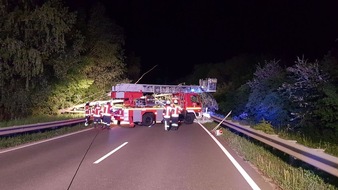 Polizeidirektion Neustadt/Weinstraße: POL-PDNW: umgestürzter Baum - B 271 gesperrt