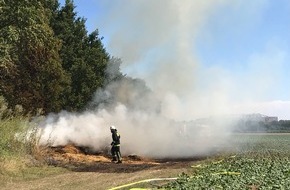 Feuerwehr Düsseldorf: FW-D: 40 Rundballen brannten in Lohausen. Keine verletzten Personen. Hohe Temperaturen forden die Einsatzkräfte.