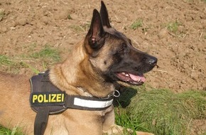 Polizei Düsseldorf: POL-D: Bilker Arkaden -  Diensthund "Moses" stellt Kioskeinbrecher - 19-Jähriger wird dem Haftrichter vorgeführt