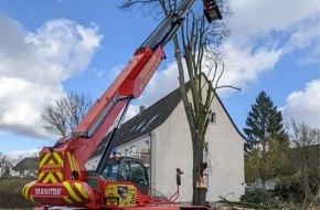 Feuerwehr Mülheim an der Ruhr: FW-MH: Aufräumarbeiten nach Orkantief "Zeynep"