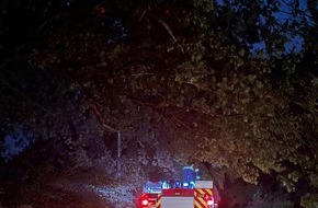 Freiwillige Feuerwehr Werne: FW-WRN: Sturmtief "Lambert" verschont Werne - Wenige Einsätze für die Freiwillige Feuerwehr Werne