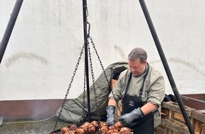Feuerwehr Weinheim: FW Weinheim: Sulzbach feiert seine Feuerwehr. Tag der offenen T&uuml;r zieht viele Besucher an