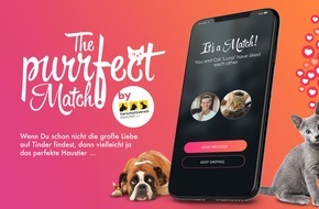 TERRITORY: Purrfect Match: TERRITORY sucht auf Tinder ein neues Zuhause für ausgesetzte Haustiere
