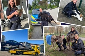 Polizei Bochum: POL-BO: R&uuml;ckblick 2025: Neun verr&uuml;ckte Polizeigeschichten aus Bochum, Herne und Witten