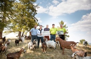 Edeka Südwest: Presse-Information: Ziegenprojekt wird beim Naturschutzwettbewerb „Unsere Heimat & Natur“ ausgezeichnet