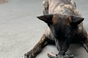 Polizei Aachen: POL-AC: Spürhund erschnüffelt Tatwaffe nach Bedrohung