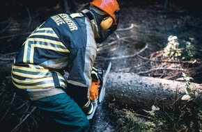 Freiwillige Feuerwehr Hünxe: FW Hünxe: Baum auf Fahrbahn