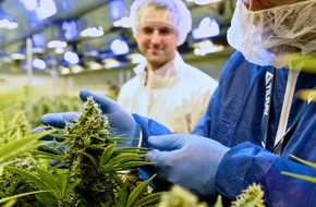 Tilray Deutschland GmbH: Ein Jahr Vollspektrum-Cannabisextrakte auf dem deutschen Markt