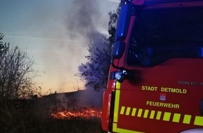 Feuerwehr Detmold: FW-DT: Gartenfeuer