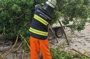 Feuerwehr München: FW-M: Baum durchstanzt Pkw-Anhänger (Moosach)