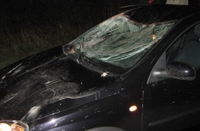 Polizeiinspektion Hameln-Pyrmont/Holzminden: POL-HOL: Bundesstraße 64 -Gemarkung Negenborn: Leicht verletztes Pferd und Totalschaden am PKW nach Zusammenstoß - Ausgebrochene Pferde hatten B 64 überquert -